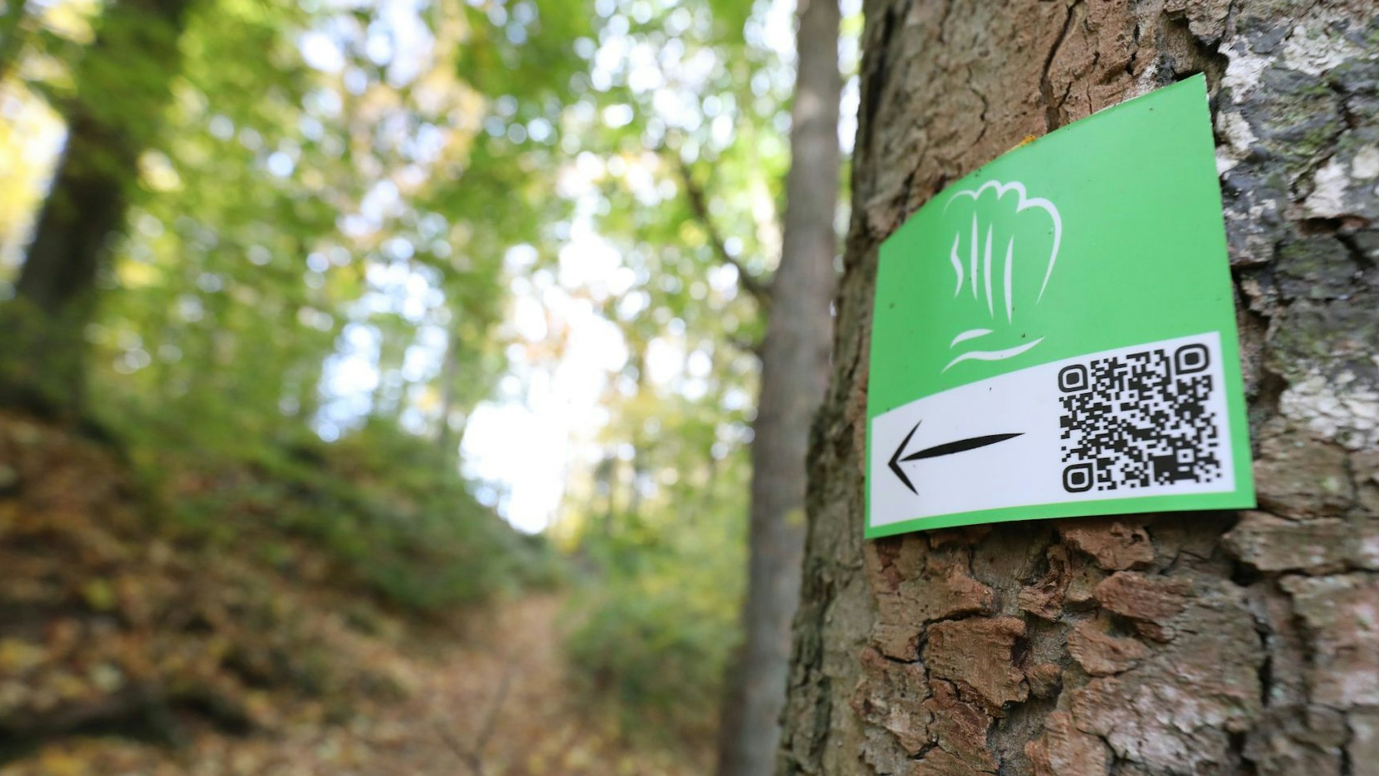 Ein kleines grünes Schild mit einem schwarzen Pfeil und einem QR-Code an einem Baum weist auf die „Wege der Wildnis“ hin.