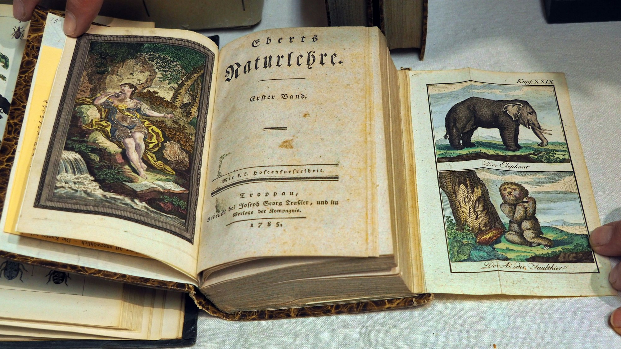 Biologieunterricht anno 1785: „Eberts Naturlehre für Kinder“