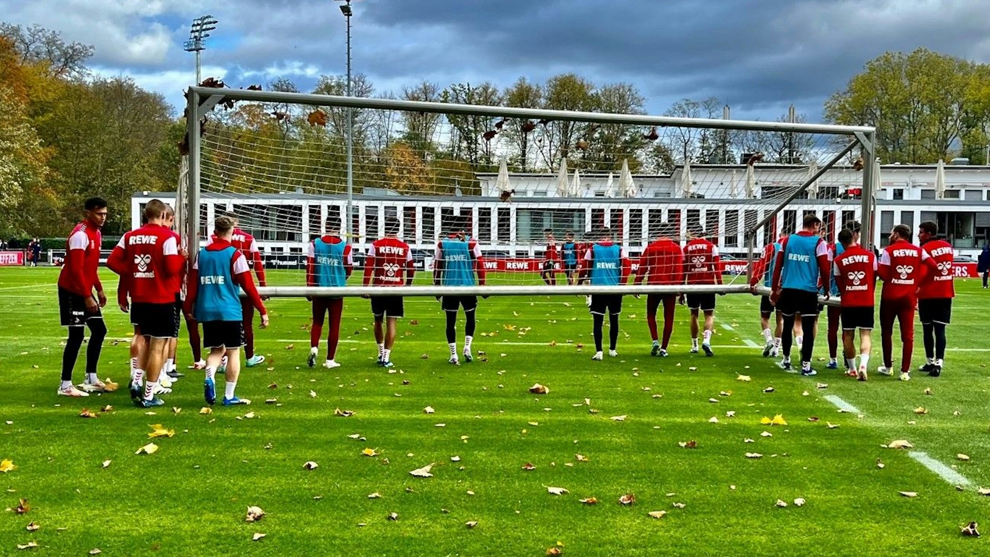Training beim 1. FC Köln.