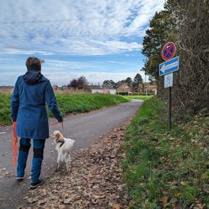 Eine Spaziergängerin mit Hund geht über eine Straße an einem Einbahnstraßenschild vorbei.