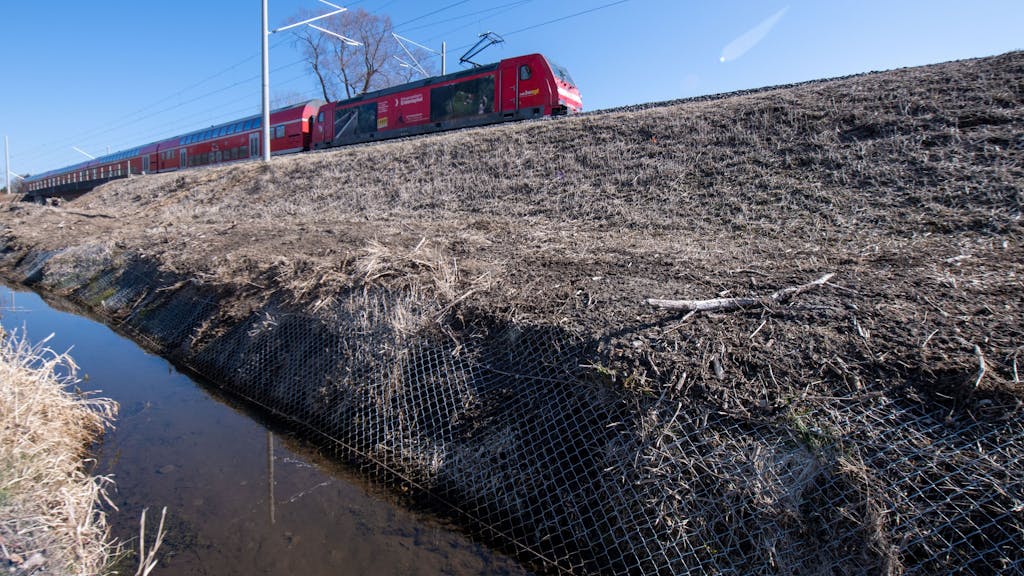 Ein Zug fährt an einem Entwässerungsgraben vorbei, der von einem Zaun eingefasst ist. Dieser Zaun soll verhindern, dass Biber mit Röhren den dahinter liegenden Bahndamm unterhöhlen und somit den Zugverkehr gefährden.