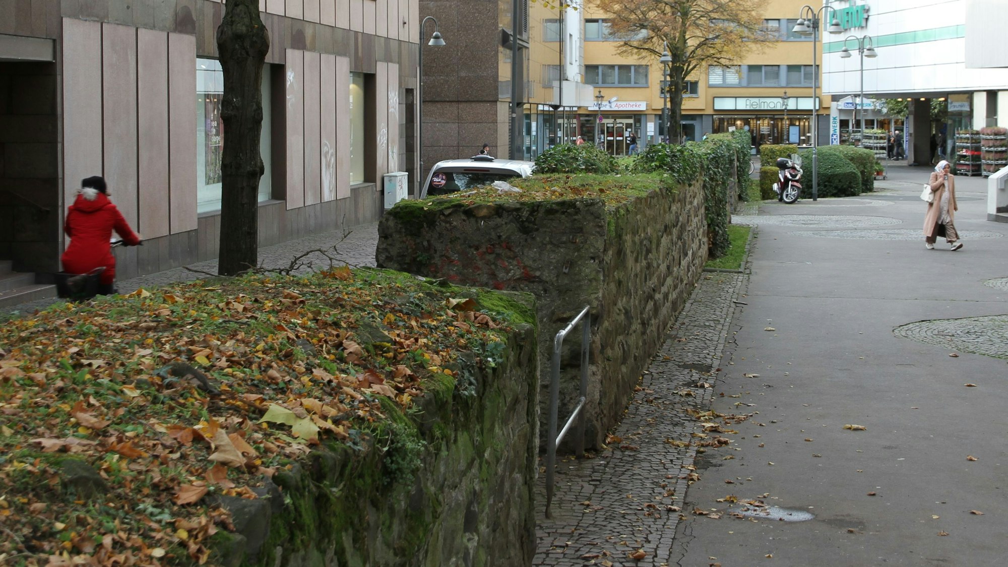 Blätter und Moos auf einer alten Stadtmauer zwischen einer C&A und einer Kaufhof-Filiale