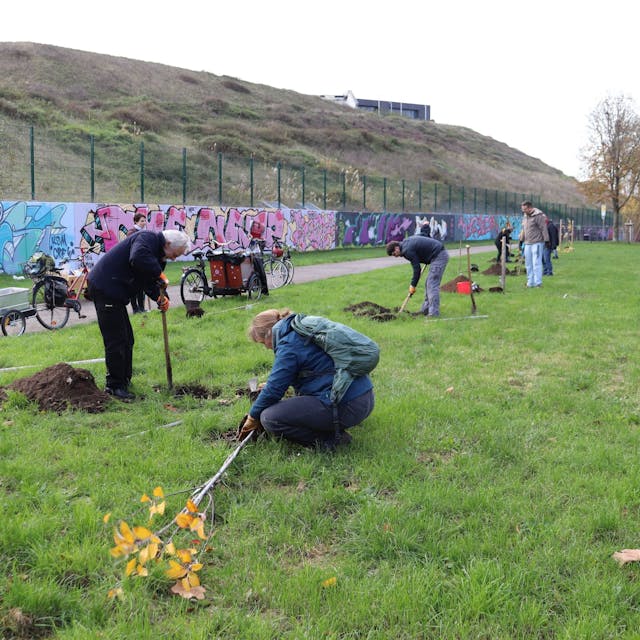 Am Rande eines Weges und einer Graffiti-Wand sind Männer und Frauen damit beschäftigt, Bäume zu pflanzen.&nbsp;