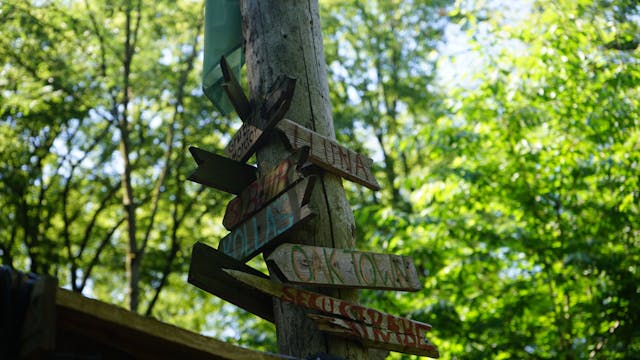 Das Bild zeigt einen Mast mit Schildern im Hambacher Forst.