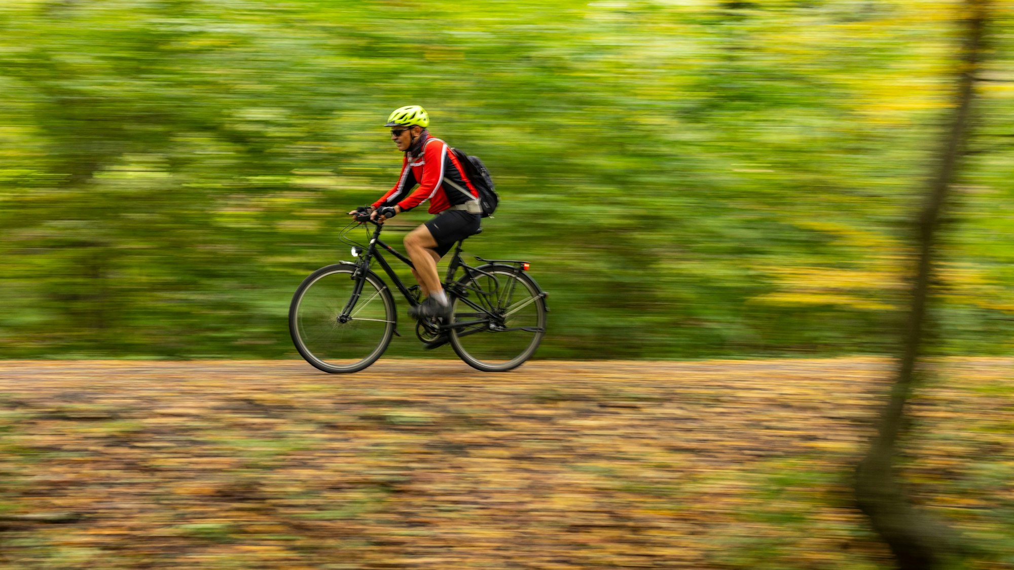 Ein Radfahrer fährt auf seinem Fahrrad durch einen Wald.