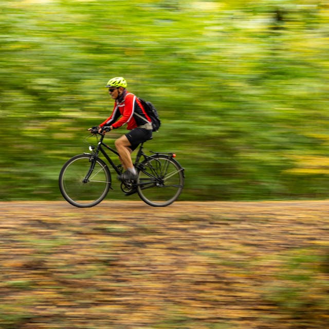 Ein Radfahrer fährt auf seinem Fahrrad durch einen Wald.&nbsp;