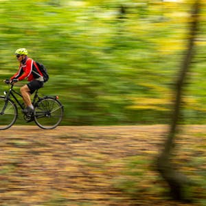 Ein Fahrradfahrer fährt durch den herbstlichen Wald.