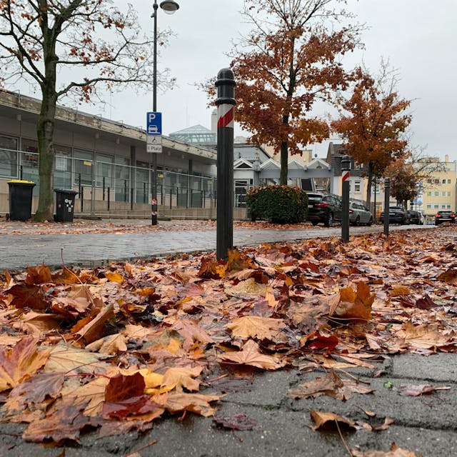 Auf dem Gehweg an der Hochstraße in Euskirchen liegt Herbstlaub.