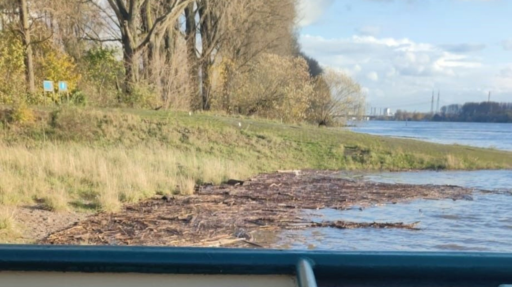 Holzstämme und Äste treiben am Rheinufer