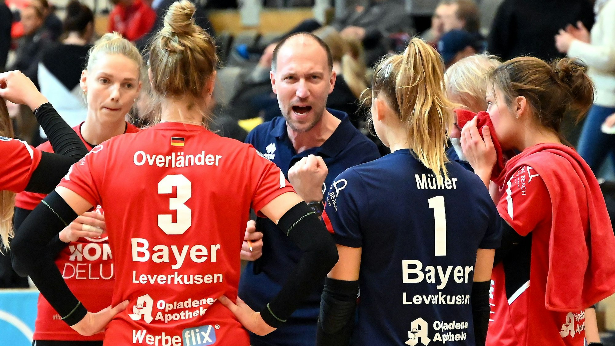 11.11.2023, Volleyball-Bayer Volleys - Dresden

mitte: TR: Dirk Sauermann (Bayer)

Foto: Uli Herhaus