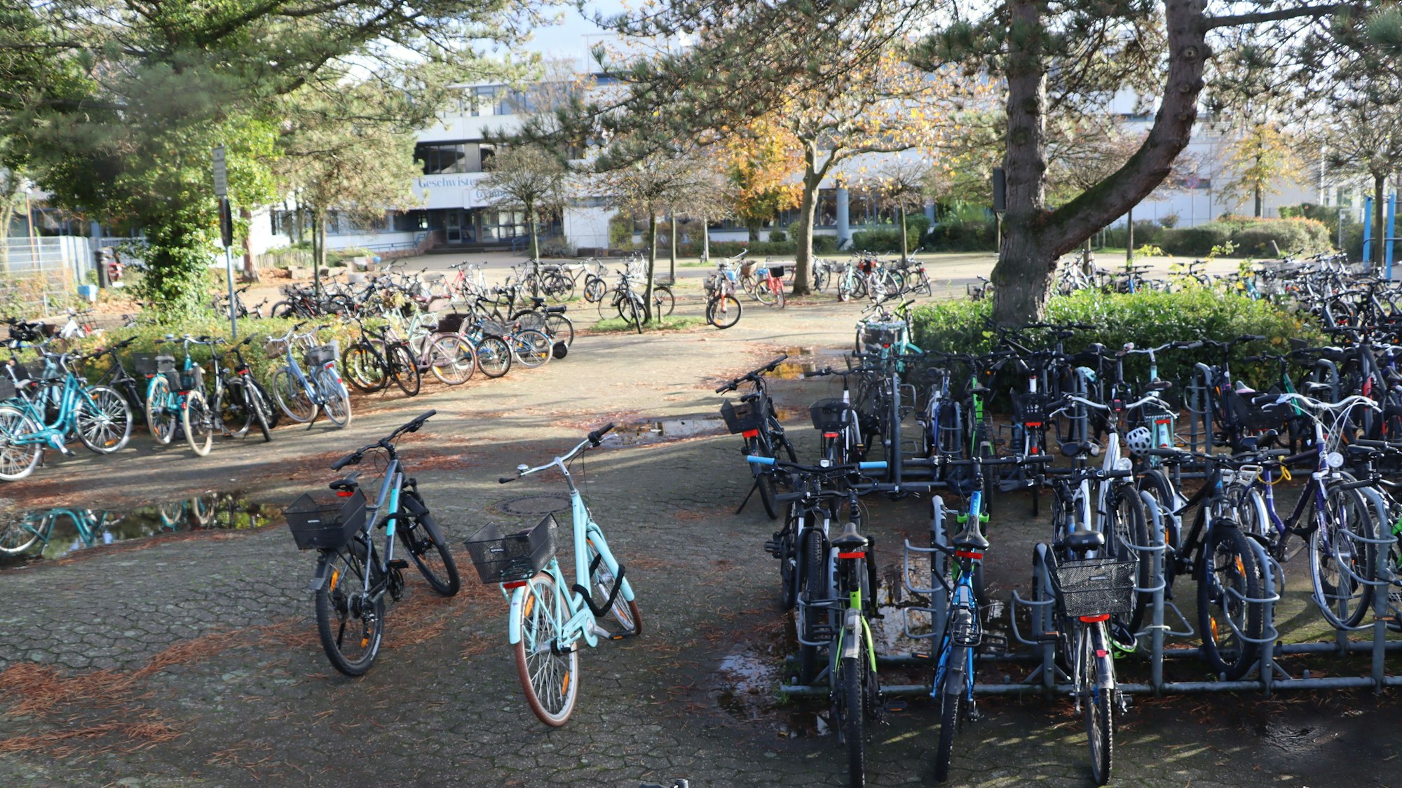 Auf dem Foto ist eine große Zahl Fahrräder zu sehen, die am Gymnasium abgestellt sind.