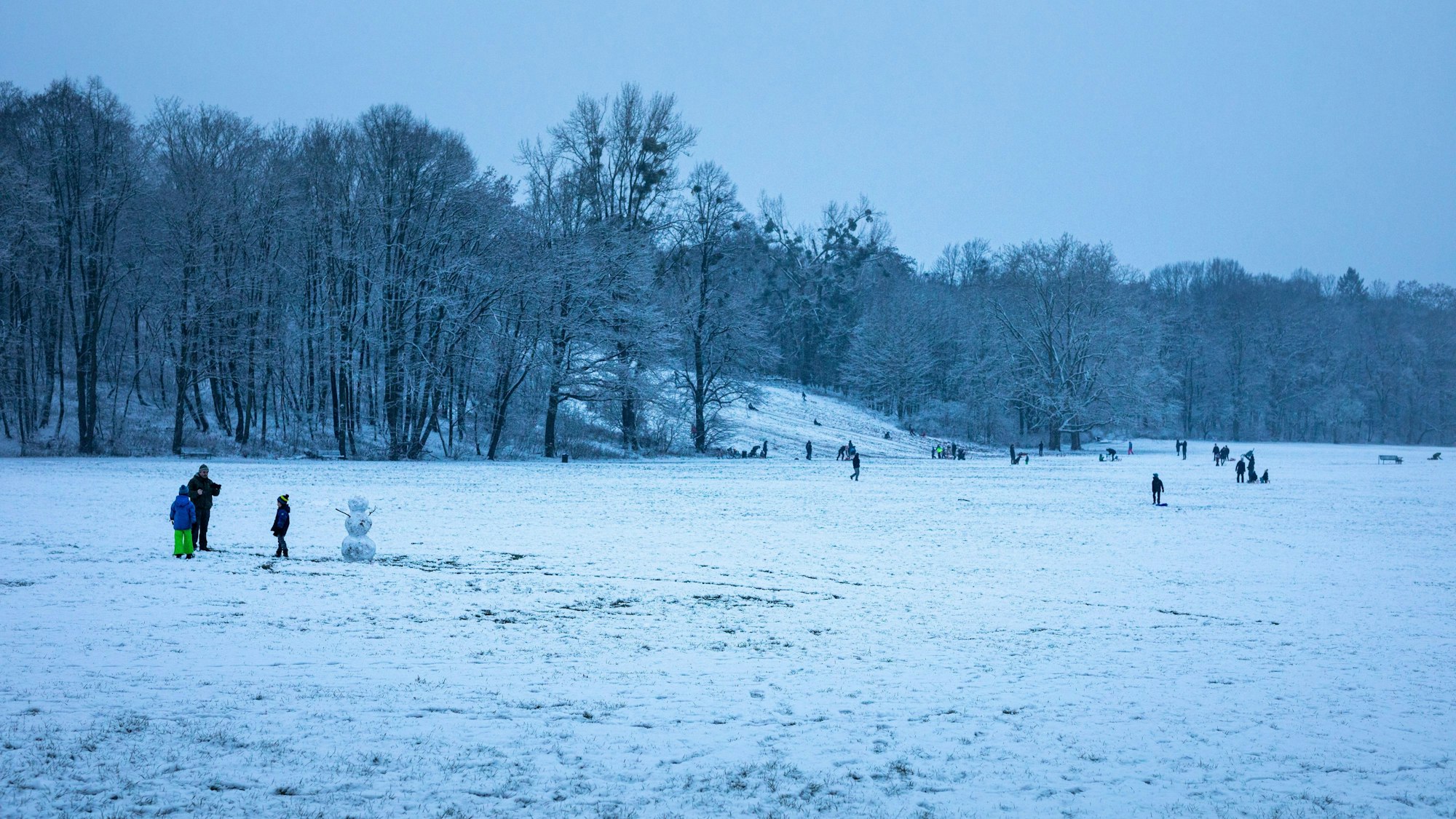 Ein weiße Schneedecke bis in die Ferne liegt im Kölner Beethovenpark.