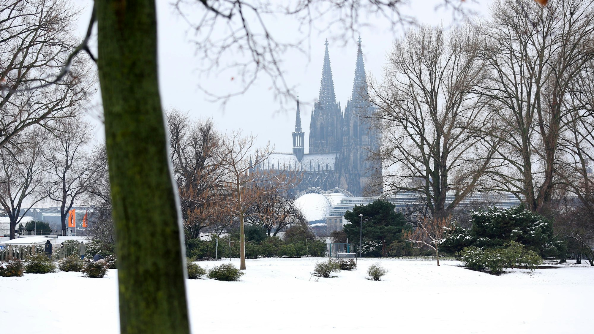 Blick aus dem verschneiten Rheinpark auf den Kölner Dom.