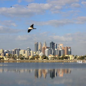 Eine Metropole als Sinnbild für den Reichtum durch Öl und Gas: Der 28. Klimagipfel findet in Dubai statt.
