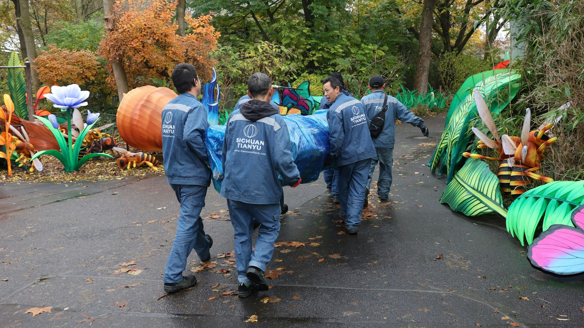 Fünf Mitarbeiter tragen ein blau verpacktes Exponat über den Hinterhof des Zoos.