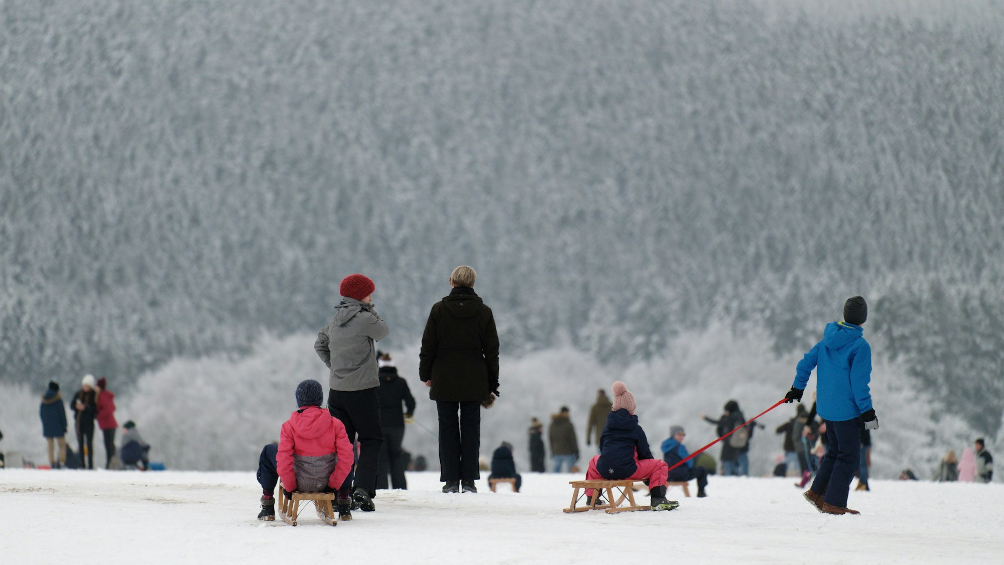 Spaziergänger und Rodler genießen das weiße Winterwetter vor der Kulisse eines verschneiten Waldes.