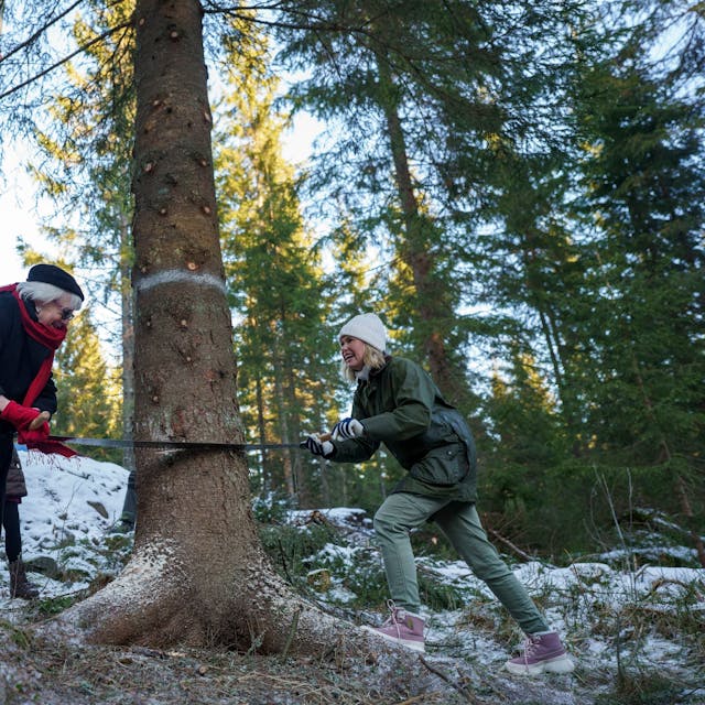 Oslos Bürgermeisterin Anne Lindboe und Patricia McAllister sägen den Baum für den Trafalgar Square.
