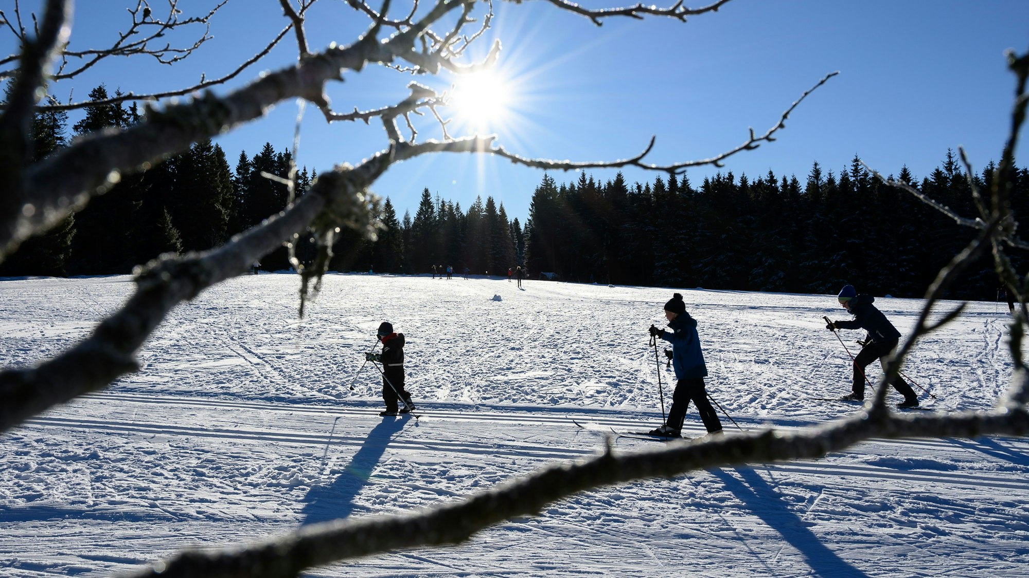 Freizeitsportler sind auf Langlaufskiern in einer verschneiten Landschaft unterwegs (Symbolbild).