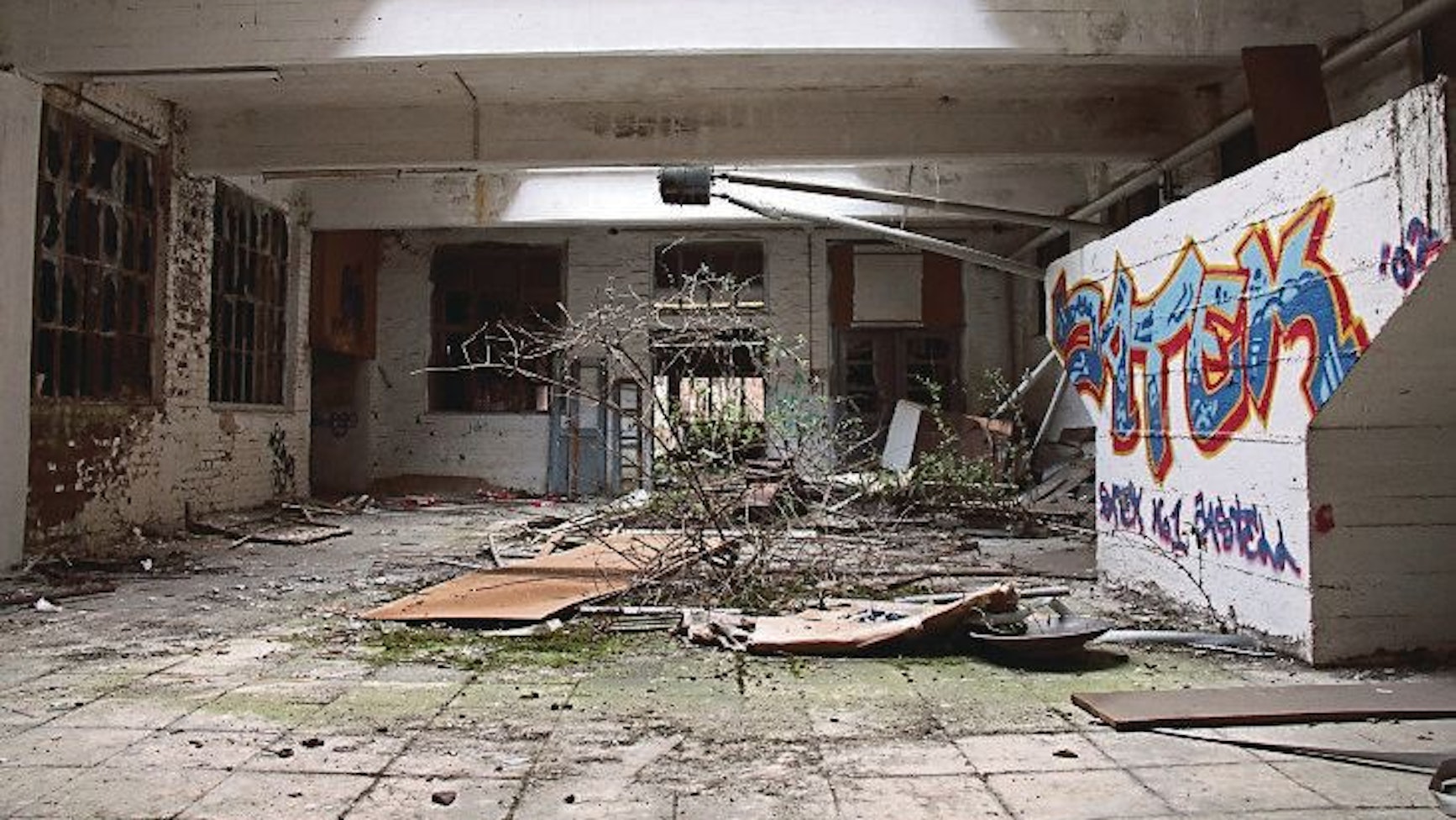 Auf dem Foto ist eine Falle der ehemaligen Norton-Fabrik zu sehen. Aus dem Boden wächst ein Baum, Wände sind mit Graffiti besprüht.