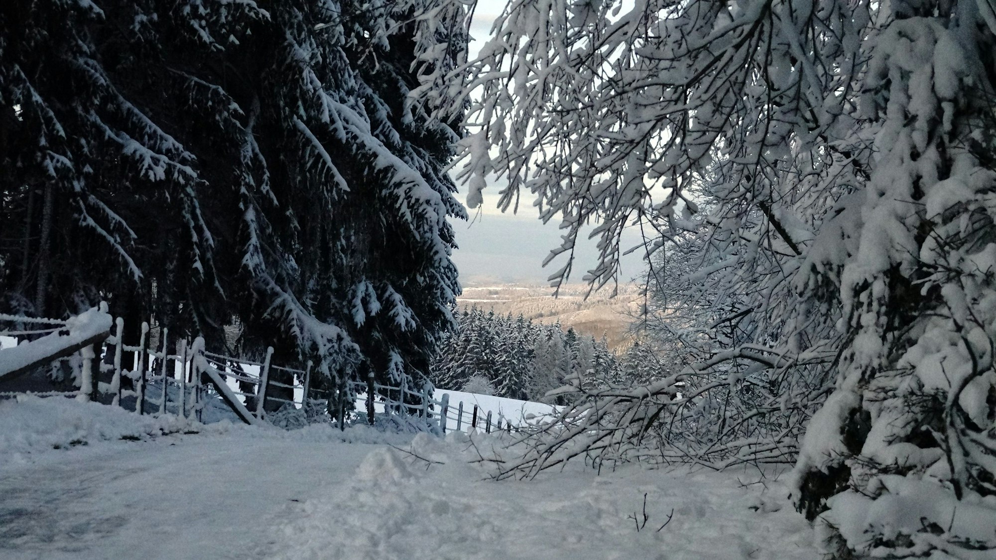 Schneewanderung Eifelschleife Wolferter Höhen