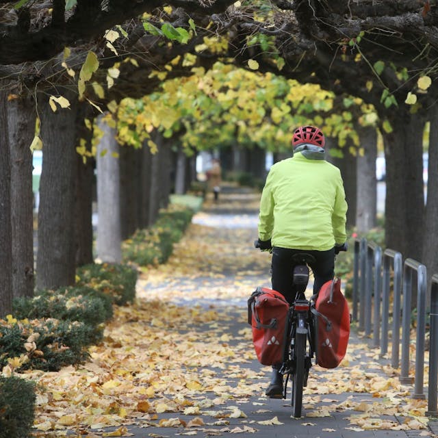 Ein Radfahrer in gelber Jacke fährt auf der Rheinpromenade in Königswinter, sein Fahrrad hat rote Fahrradtaschen.&nbsp;