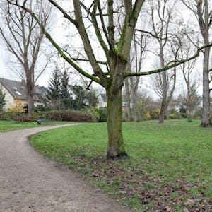 Der Hans-Groß-Park in Lindenthal liegt in der Nähe des Krieler Dömchens.