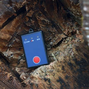 Ein GPS-Gerät liegt im Staatswaldforst in Frankenberg (Hessen) in einem ausgehöhlten Buchenstamm.&nbsp;