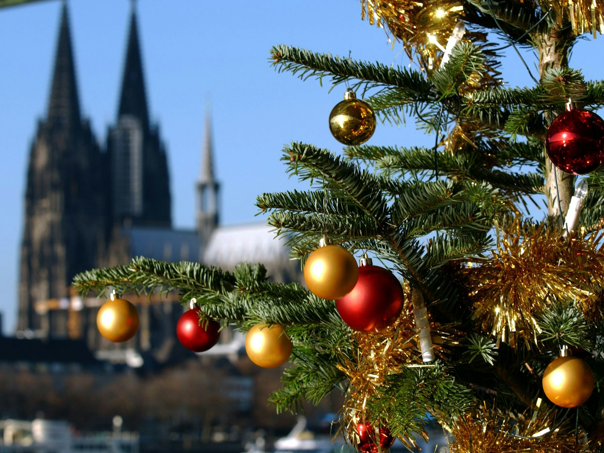 Ein Tannenbaum, geschmückt mit bunten Kugeln und goldenem Lametta, in Köln am Rheinufer