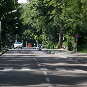 Eine Straße im Stadtwald.