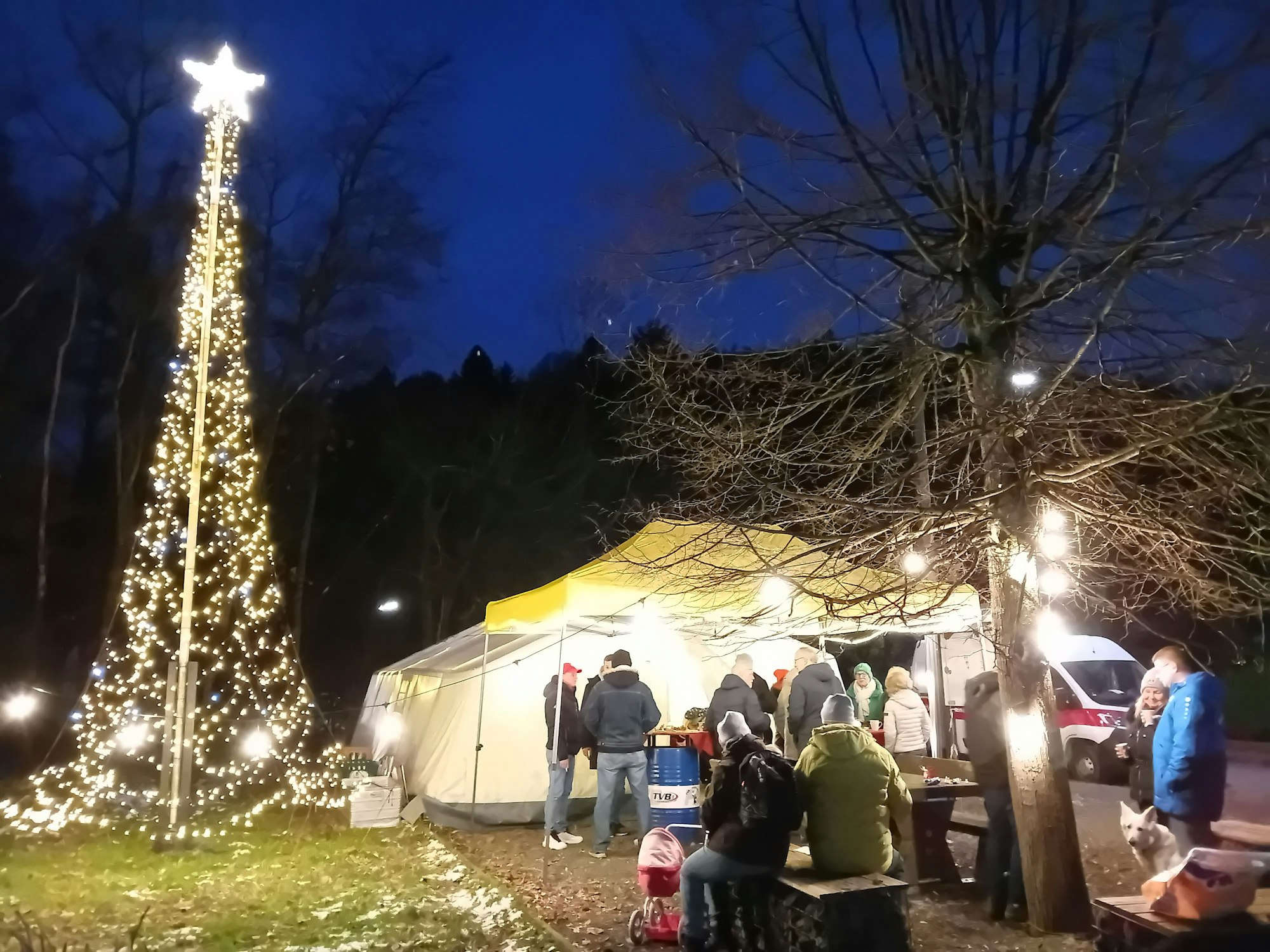 Lichterketten hängen an einem Fahnenmast und bilden so in der Dunkleheit einen stilisierten Weihnachtsbaum.