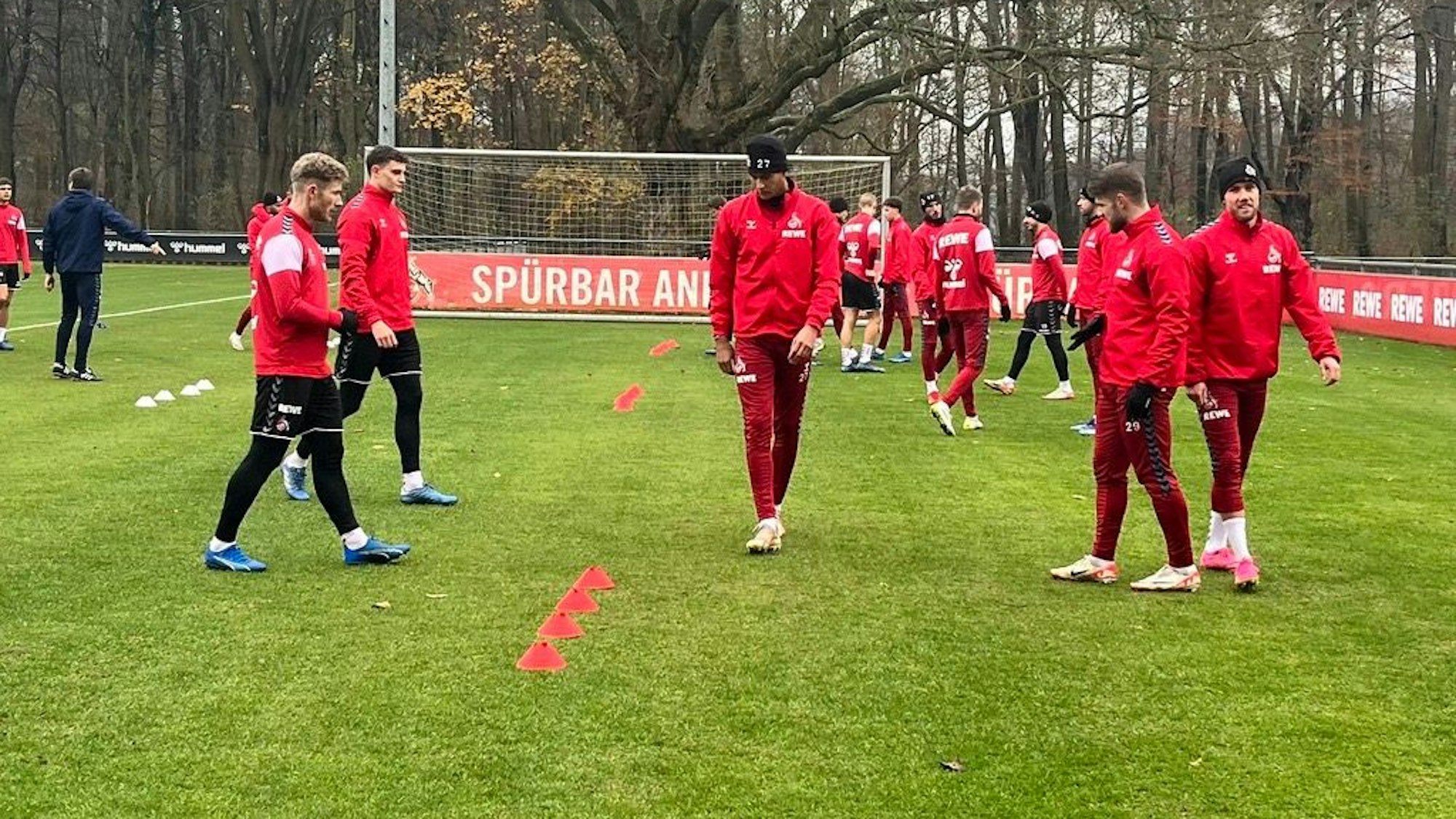 Davie Selke beim 1. FC Köln auf dem Trainingsplatz.