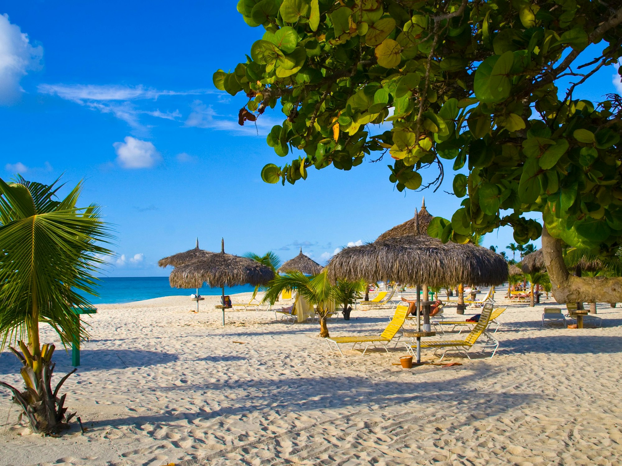 Palmen, Sonnenschirme und Liegen am Eagle Beach auf Aruba, Aufnahme undatiert.