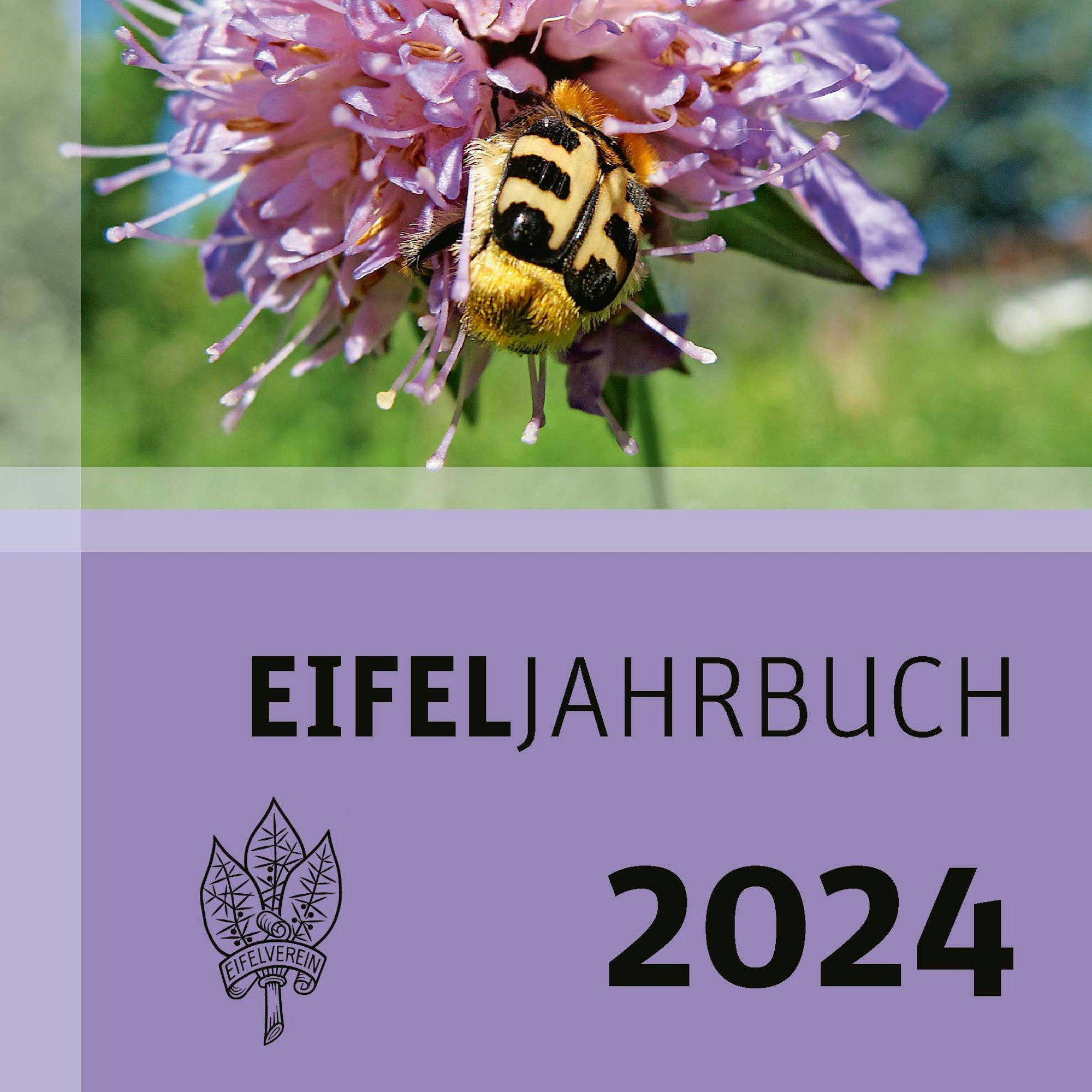 Das Cover des neues Eifeljahrbuchs 2024 des Eifelvereins.