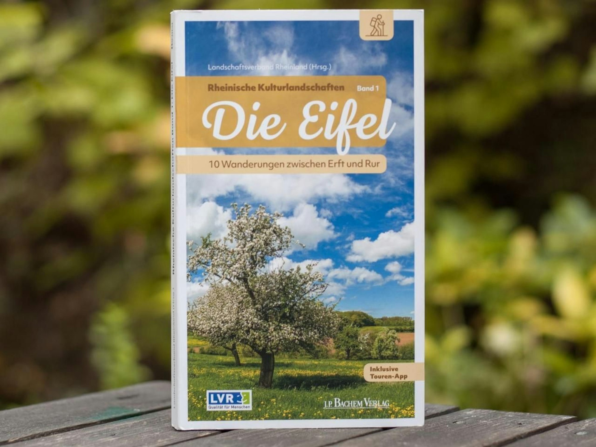 Das Cover des Buchs „Die Eifel“ ist vor einem grünen Hintergrund zu sehen.