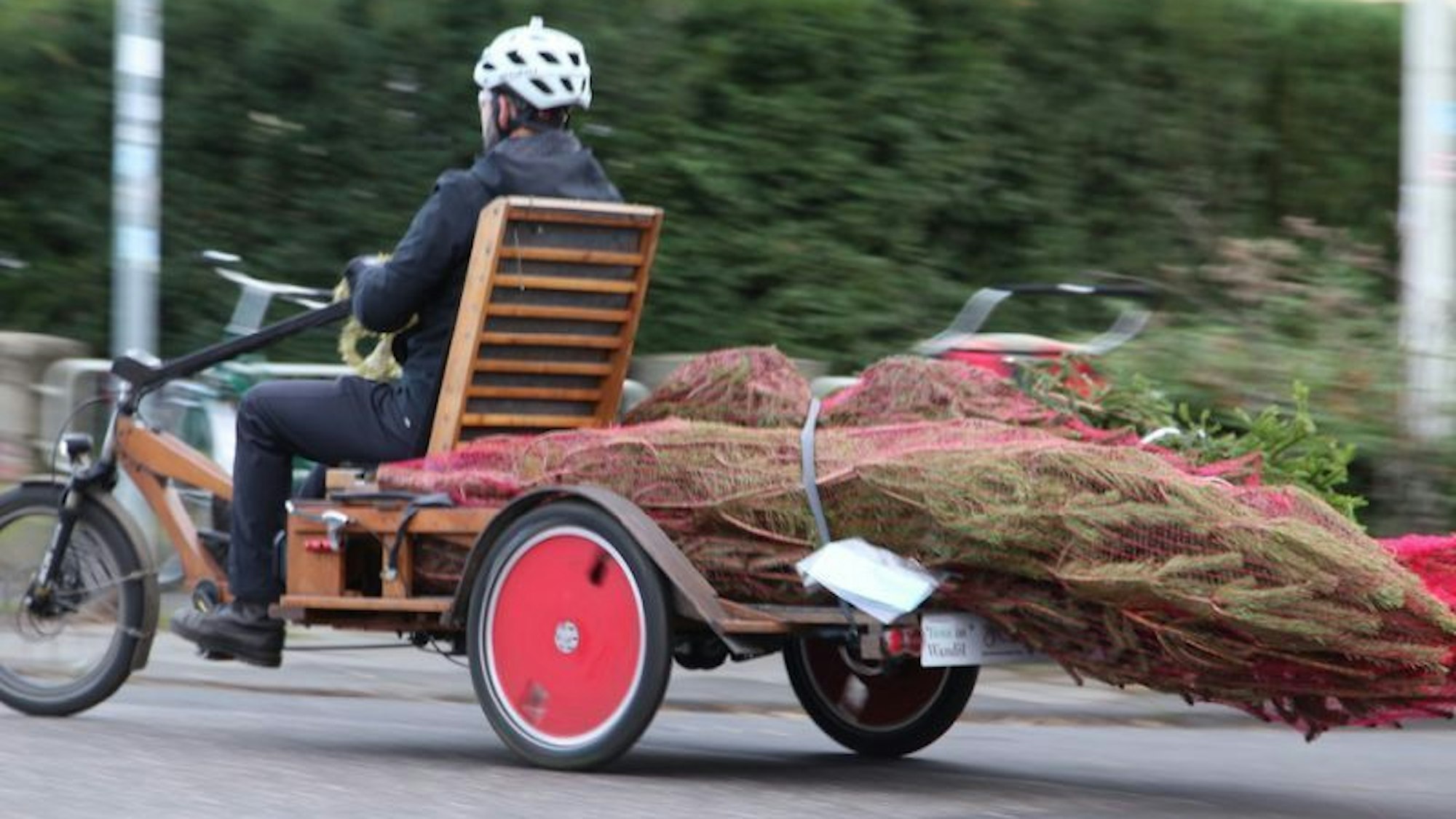 Auf einem Dreirad mit Lastenanhänger transportiert ein Mann mehrere Weihnahtsbäume, die in Netzt eingewickelt sind.