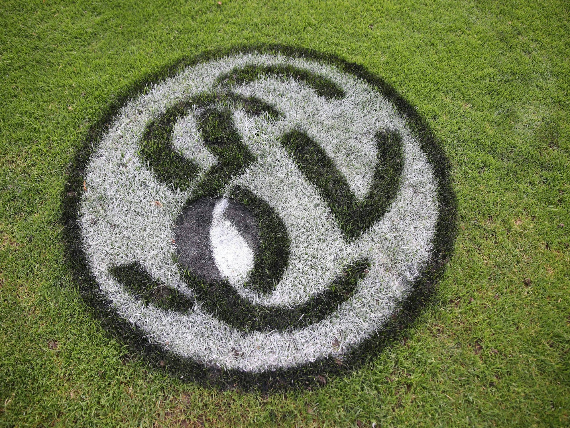 Logo der SV Elversberg im Rasen.