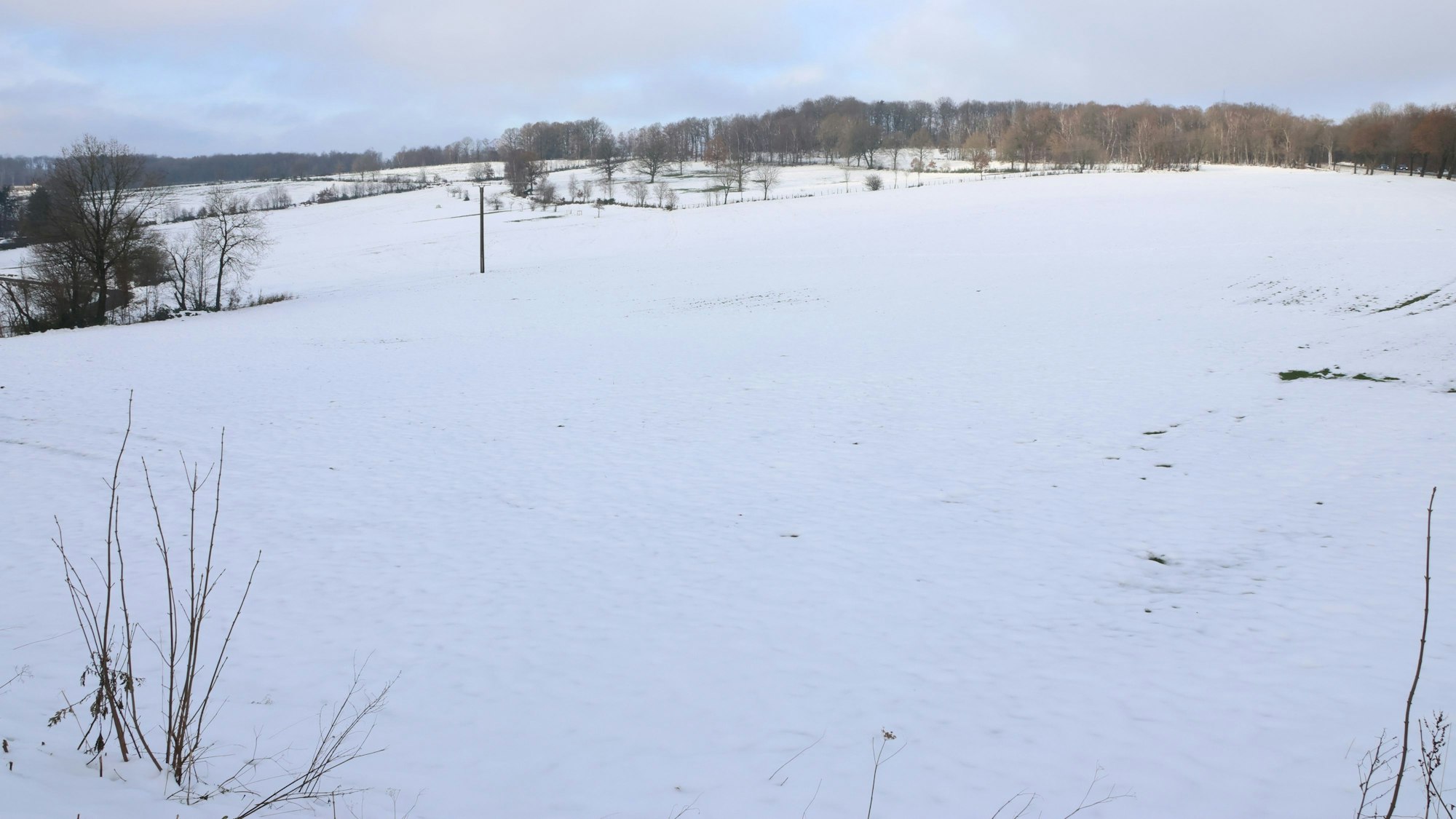 Eine weiße Winterlandschaft.