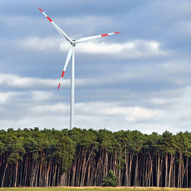 Eine Windenergieanlage steht in einem Wald