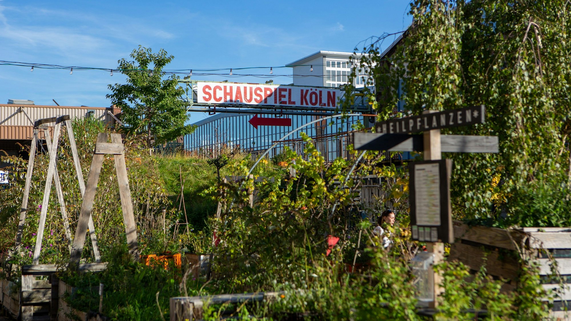 Ein wild gewachsener urbaner Garten, im Hintergrund weist ein Plakat zum Schauspiel Köln