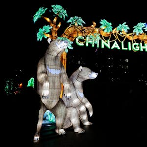 Zu sehen ist das beleuchtete Eingangstor mit der Aufschrift "China Lights" und Bären.&nbsp;