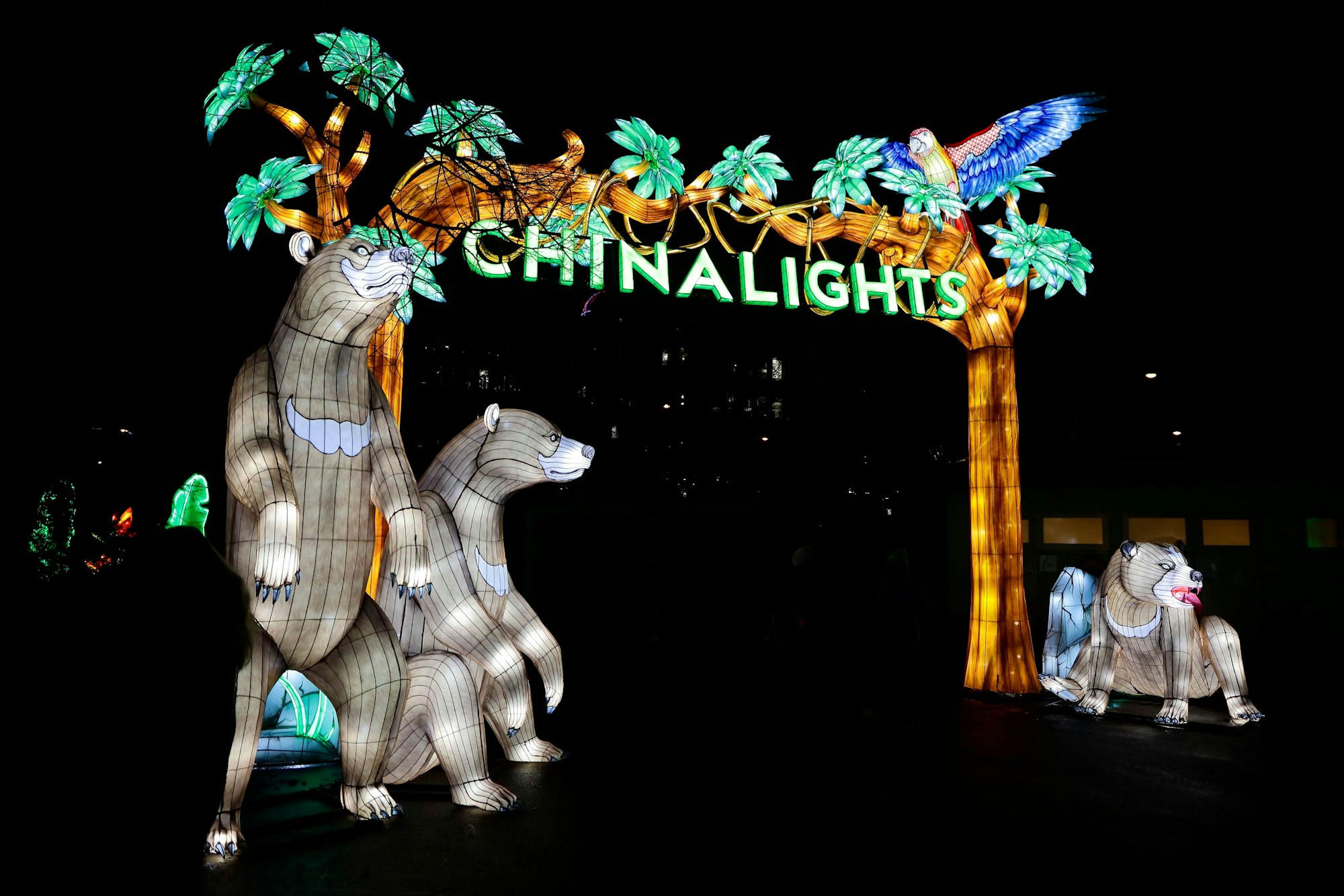 Bären bei den China Lights im Kölner Zoo.