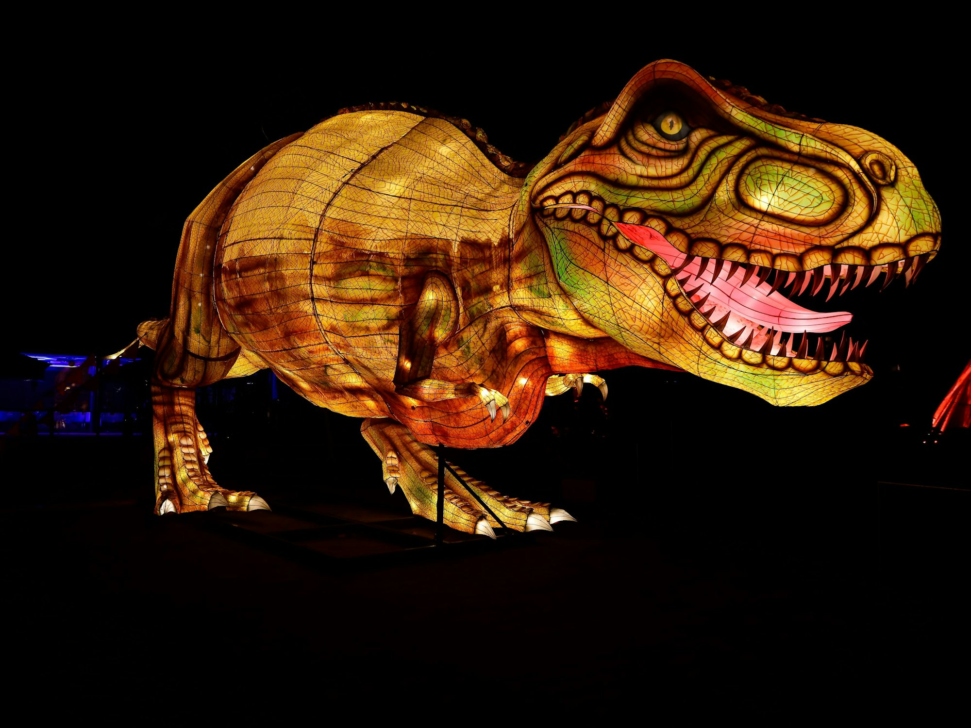 China Lights im Kölner Zoo: der Tyrannosaurus Rex