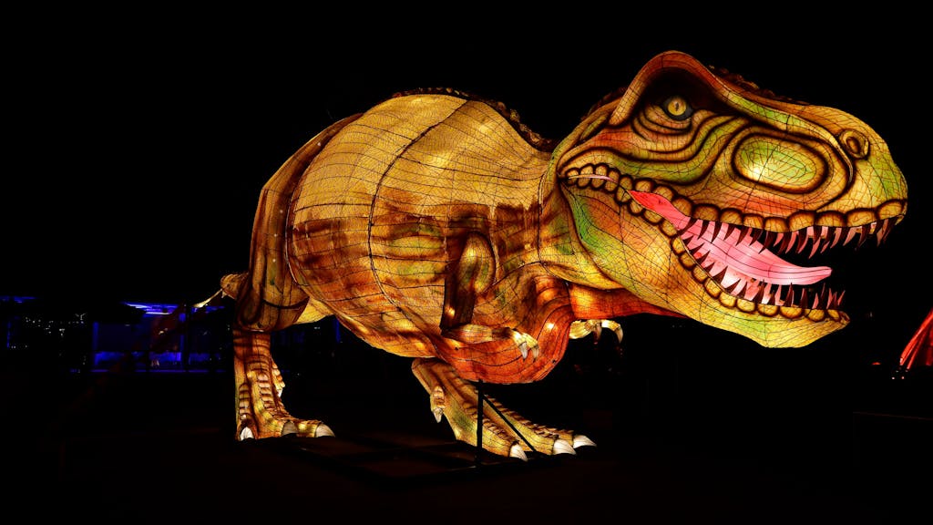 Der 18 Meter lange Tyrannosaurus Rex gehört zu den Highlights des China-Lights-Festival im Kölner Zoo.