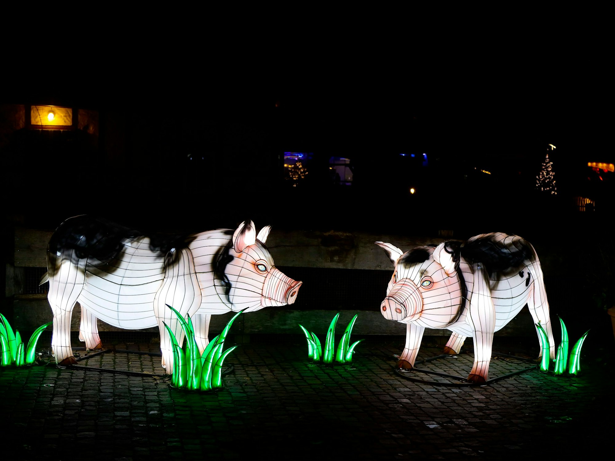 Auch die Hausschweine gibt es im Kölner Zoo als Nachbildung zu bestaunen.