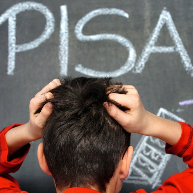 Ein Junge rauft sich die Haare. Im Hintergrund ist eine grüne Tafel in einem Klassenzimmer zu sehen. Auf dieser steht mit Kreide geschrieben: Pisa.
