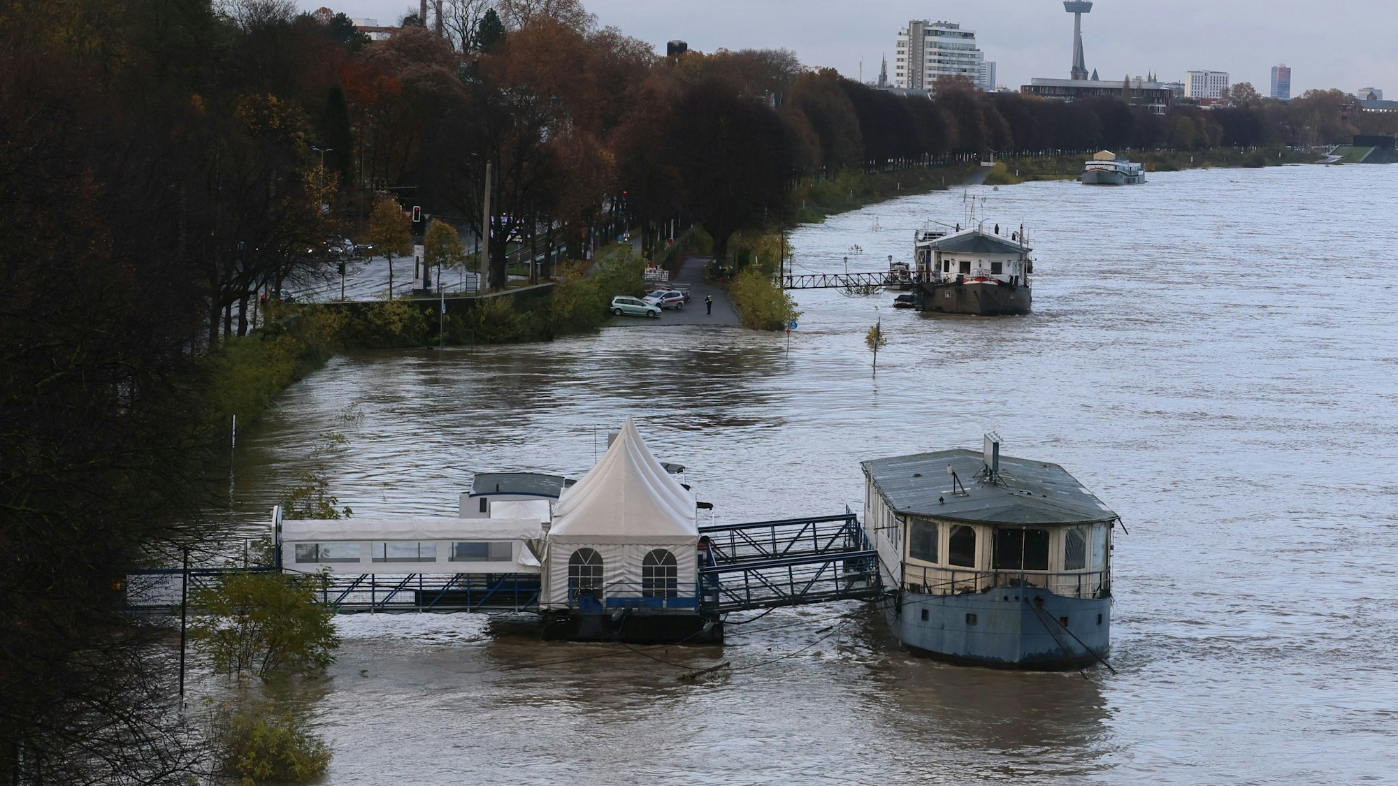 Hochwasser am Rhein in Köln-Rodenkirchen