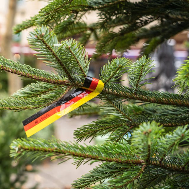 Weihnachtsbaum mit Deutschlandflagge
