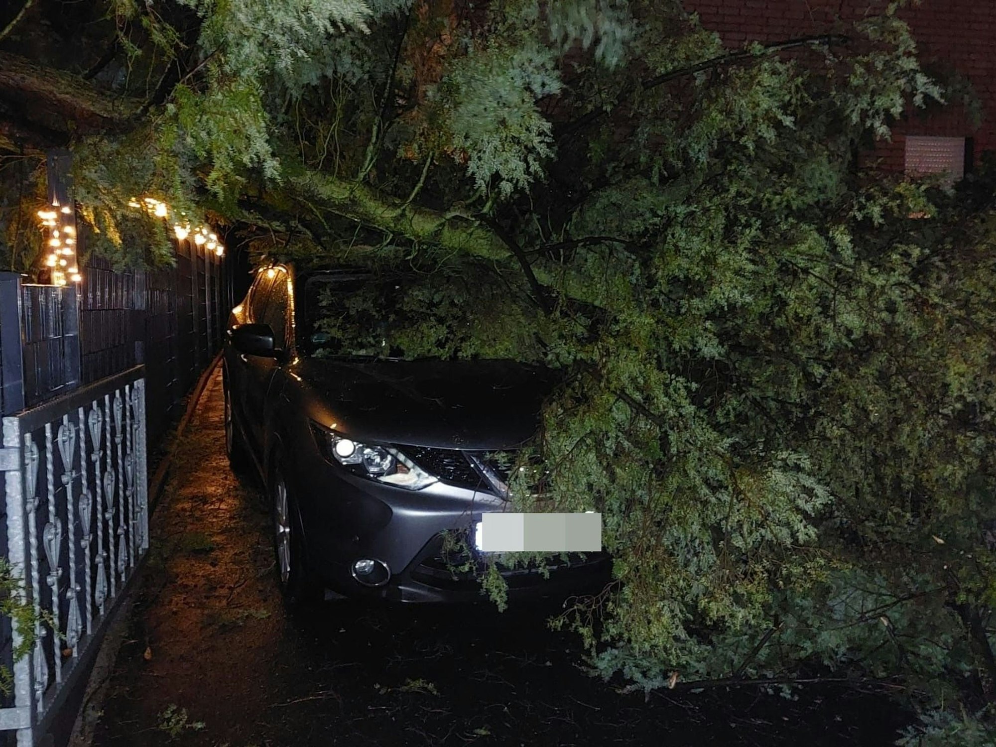 Lohmar-Heide stürzte ein Baum auf ein Auto.