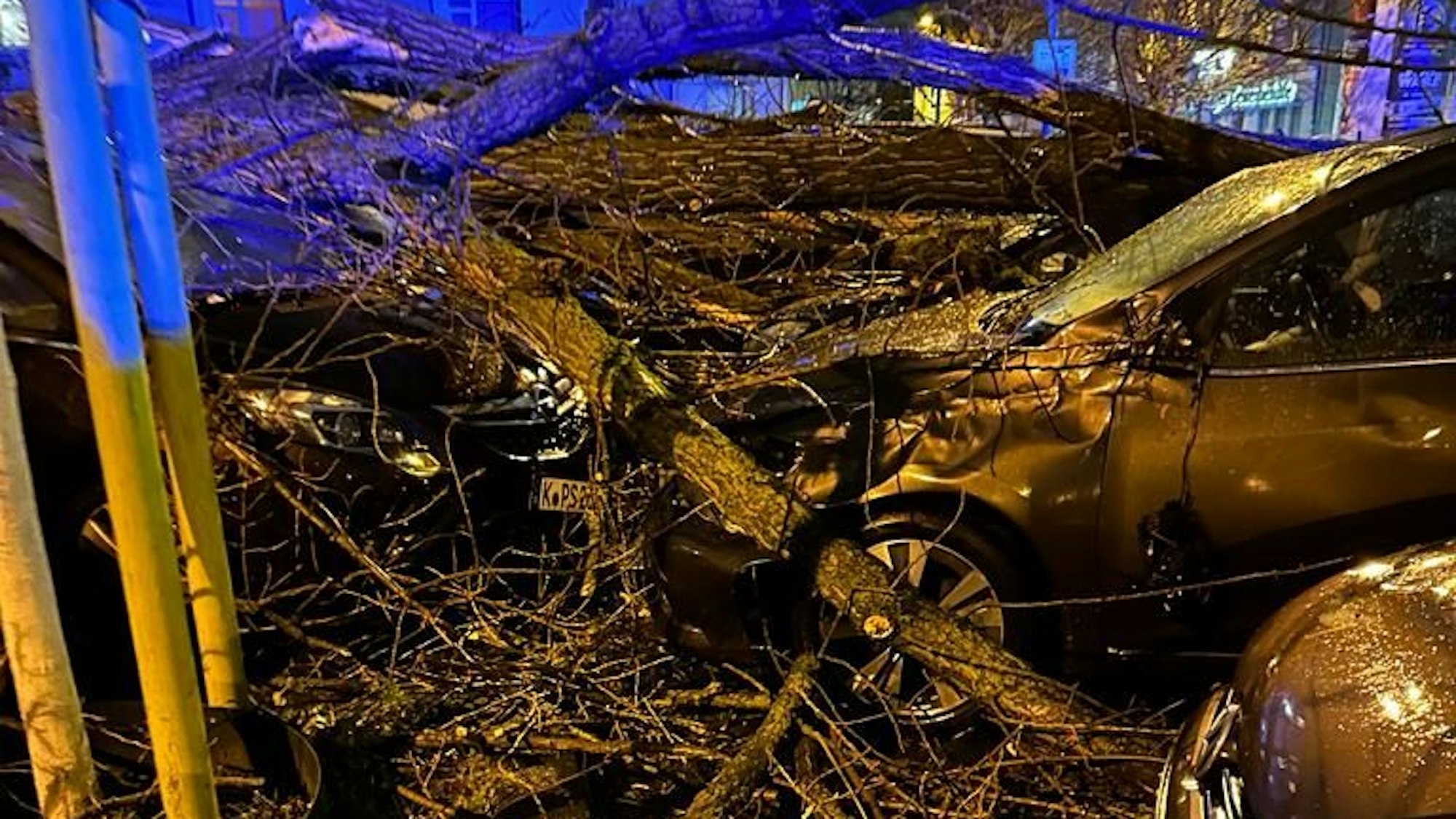 Unwetter in Zollstock: Bäume sind auf Autos am Höninger Weg gestürzt.