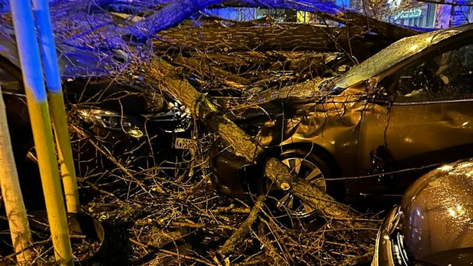Unwetter in Zollstock: Bäume sind auf Autos am Höninger Weg gestürzt.